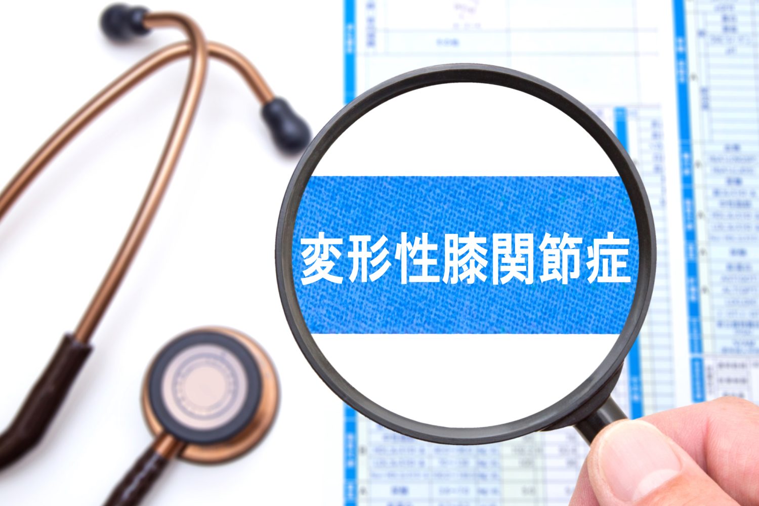 変形性膝関節症とは、どんな病気?