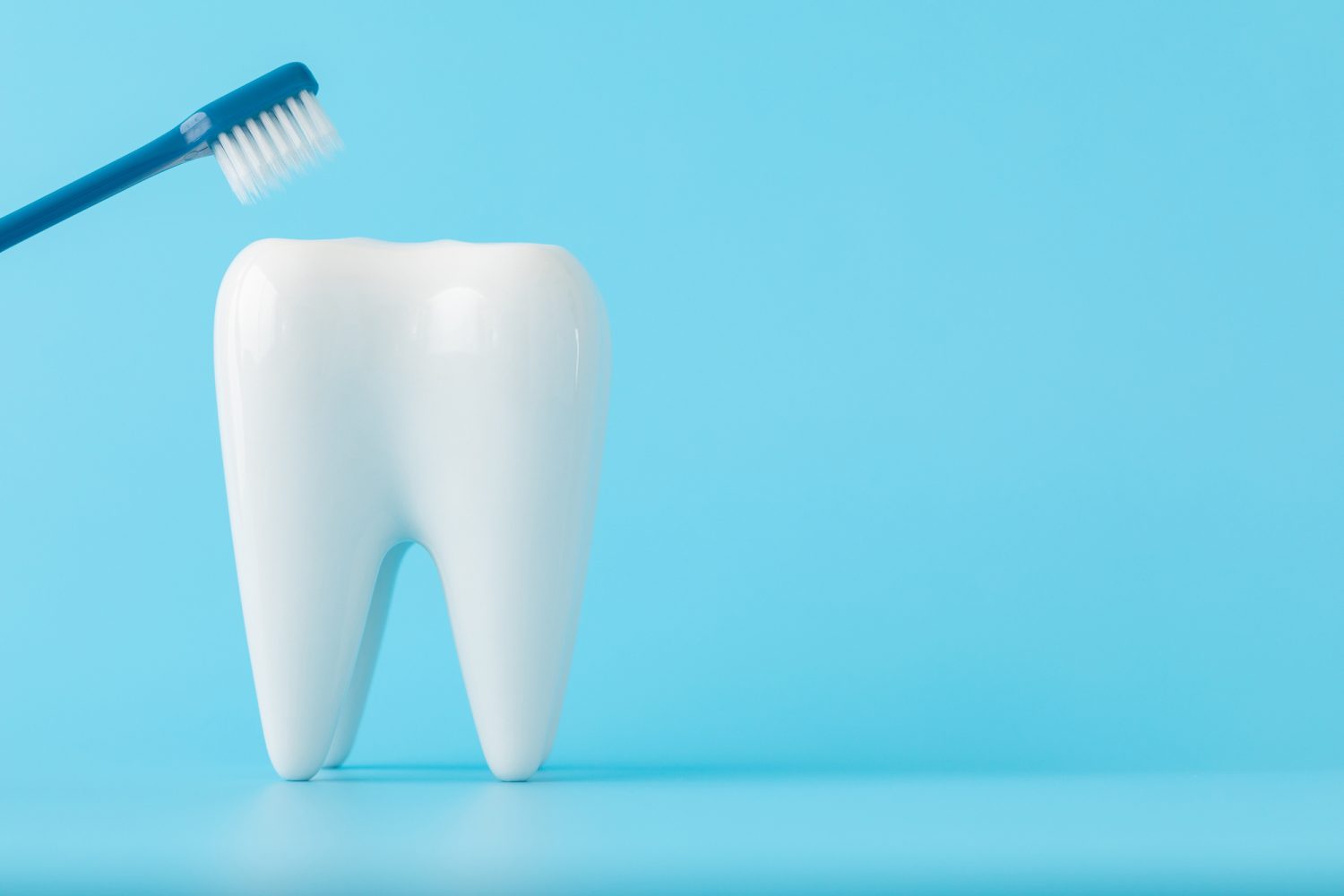 歯周病があっても矯正治療はできる？ はじめに知っておきたい基本の考え方