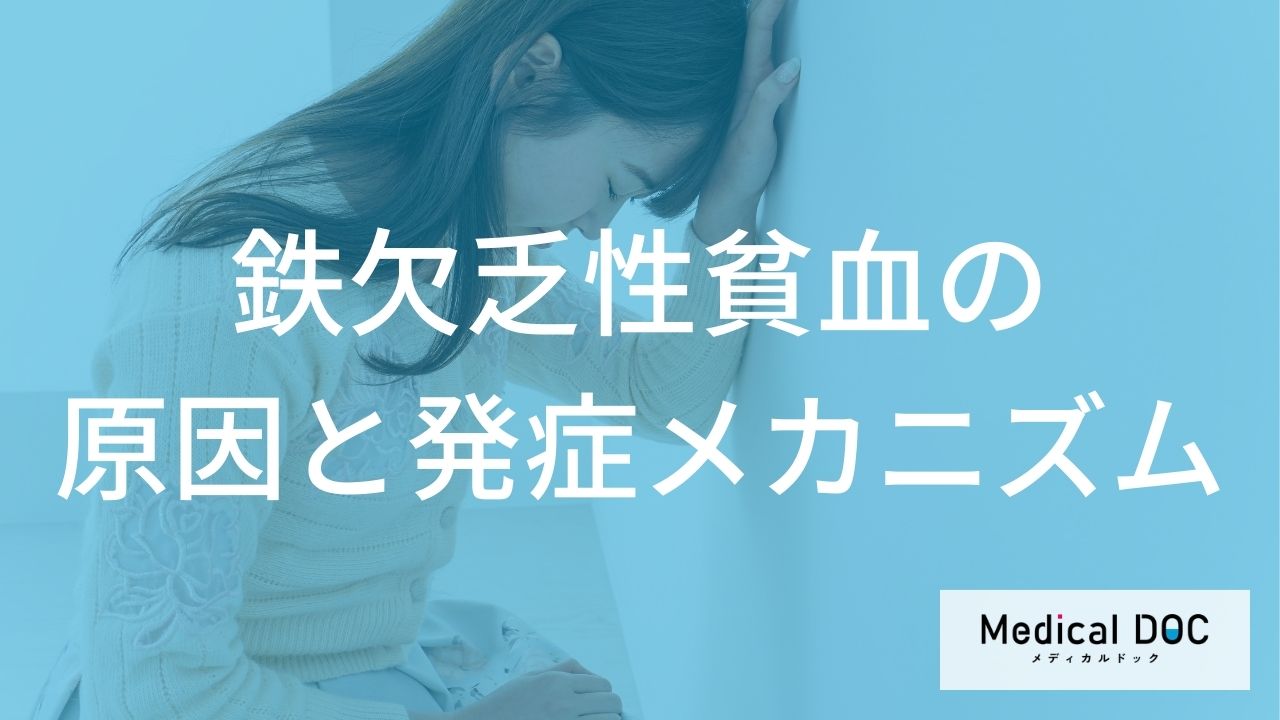 鉄欠乏性貧血の原因と発症メカニズム