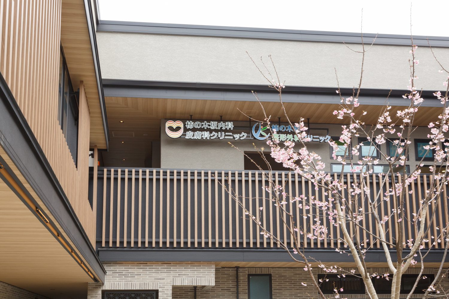 柿の木坂内科皮膚科クリニックphoto