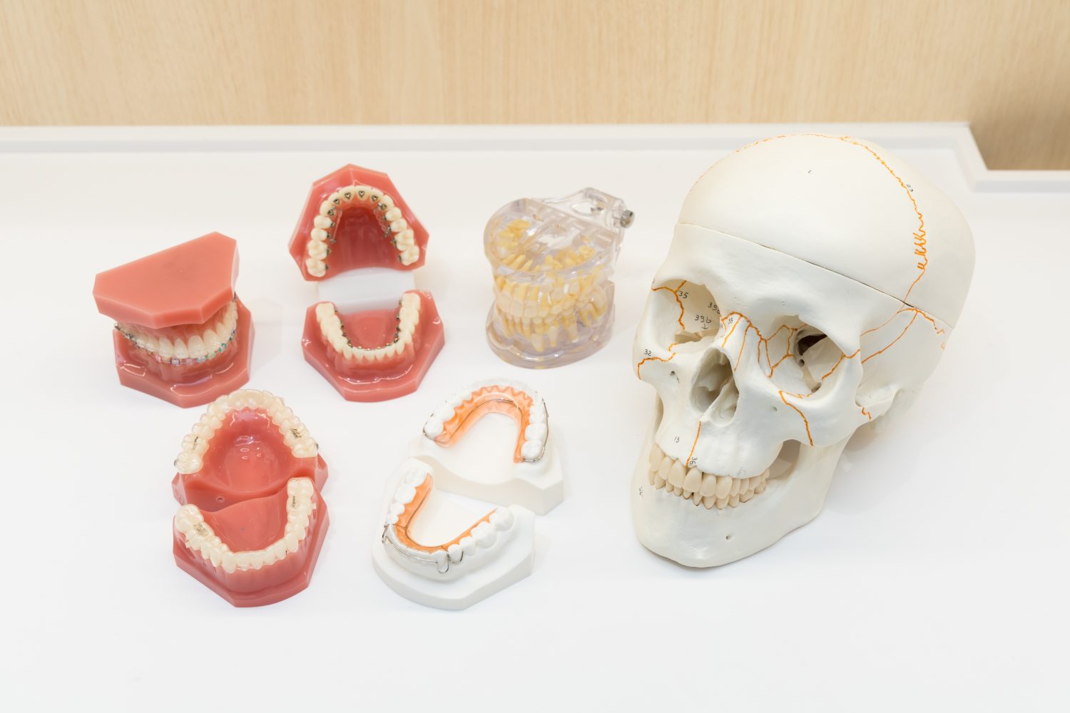 たいとう矯正歯科photo