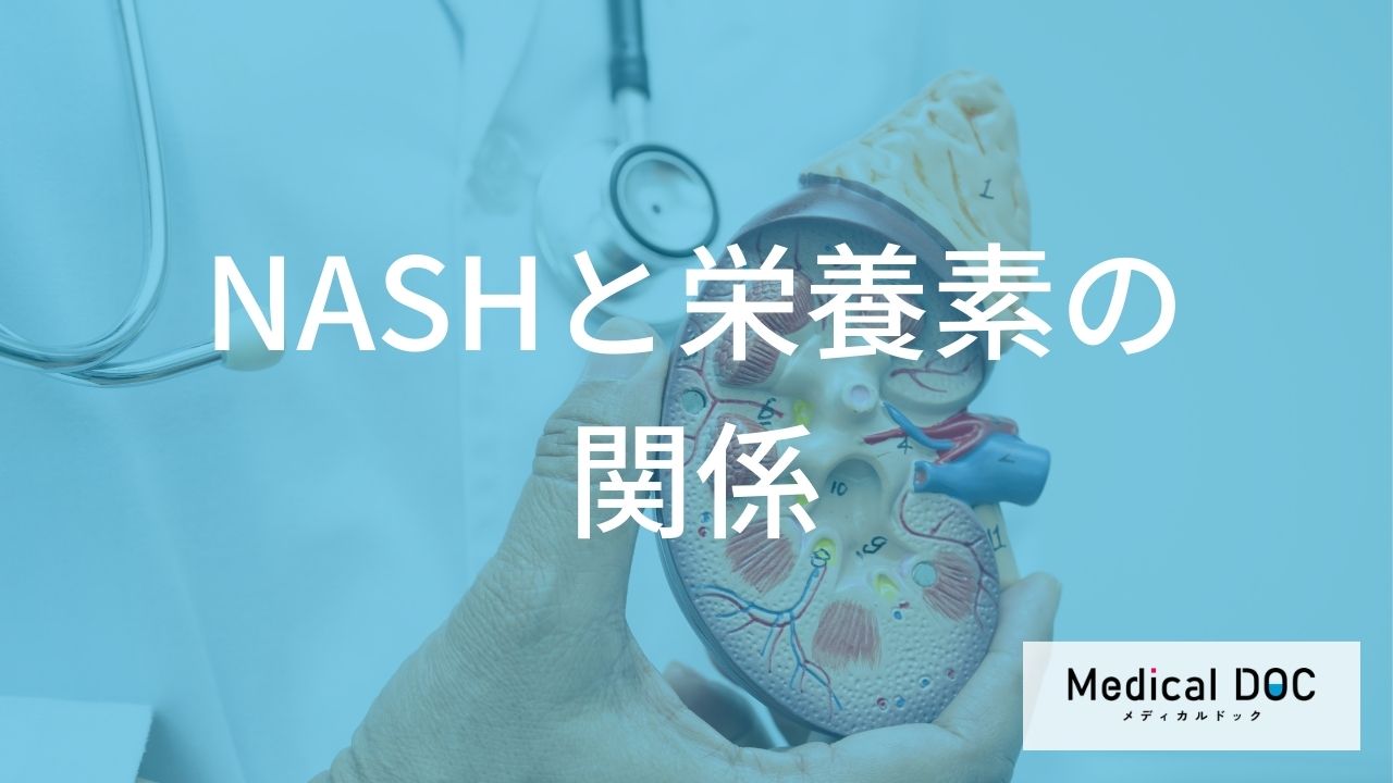 NASH改善の鍵は「どの栄養素」の制限?肝臓を労わる栄養素の摂り方【医師解説】