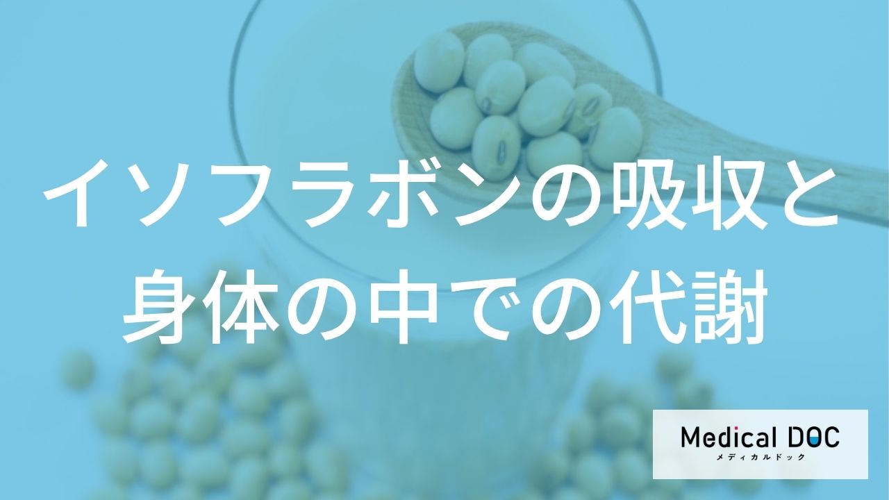 「イソフラボン」の効果的な摂り方とは？吸収率を高める食べ合わせとタイミング