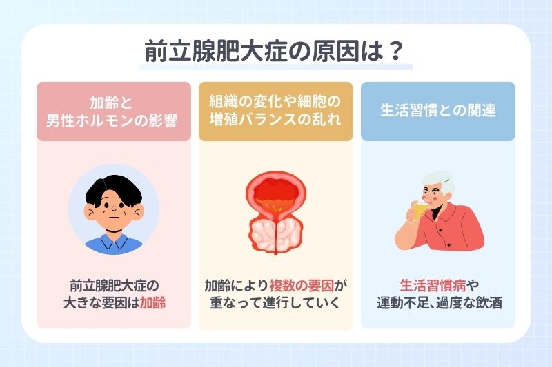 前立腺肥大症の原因は？