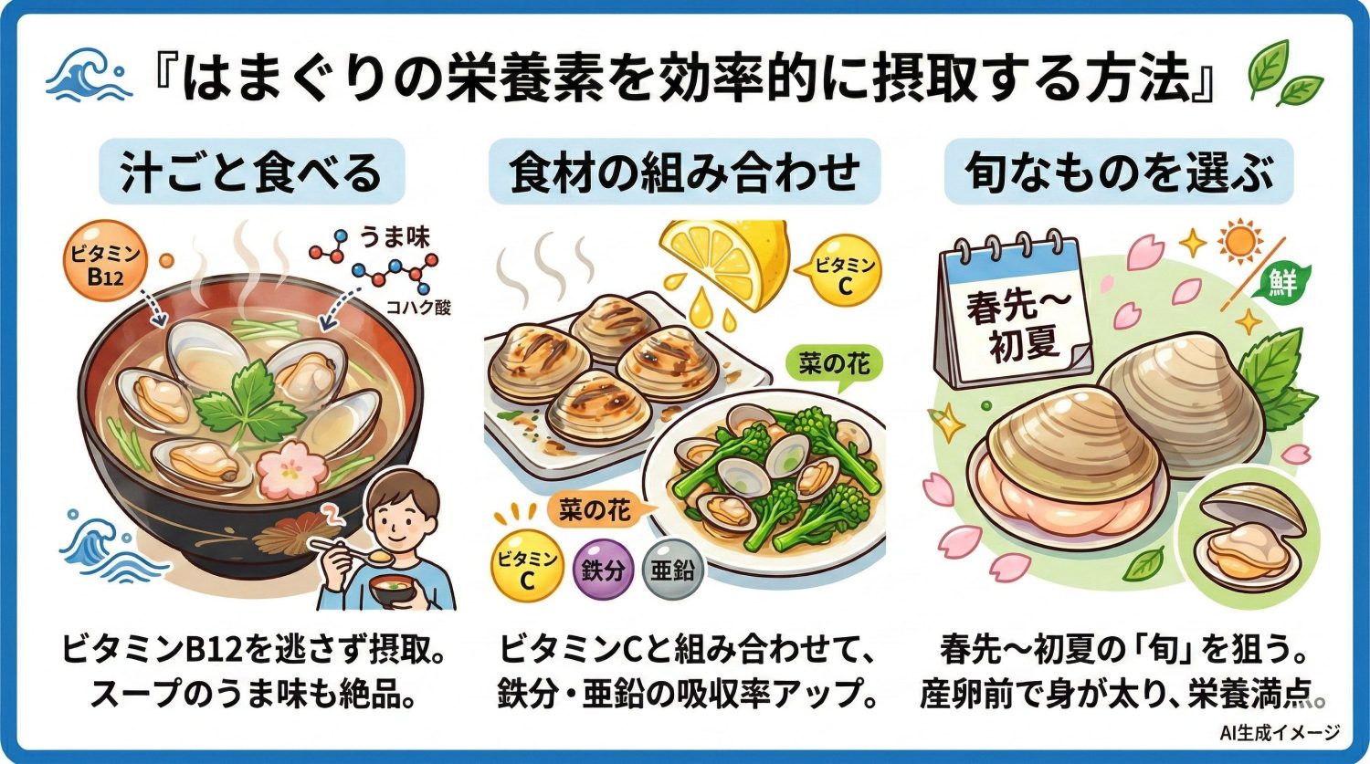 はまぐりの栄養素を効率的に摂取する方法