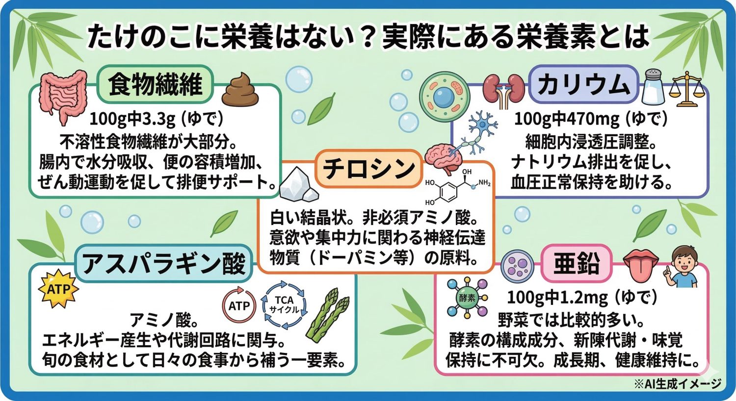 たけのこに含まれる栄養素