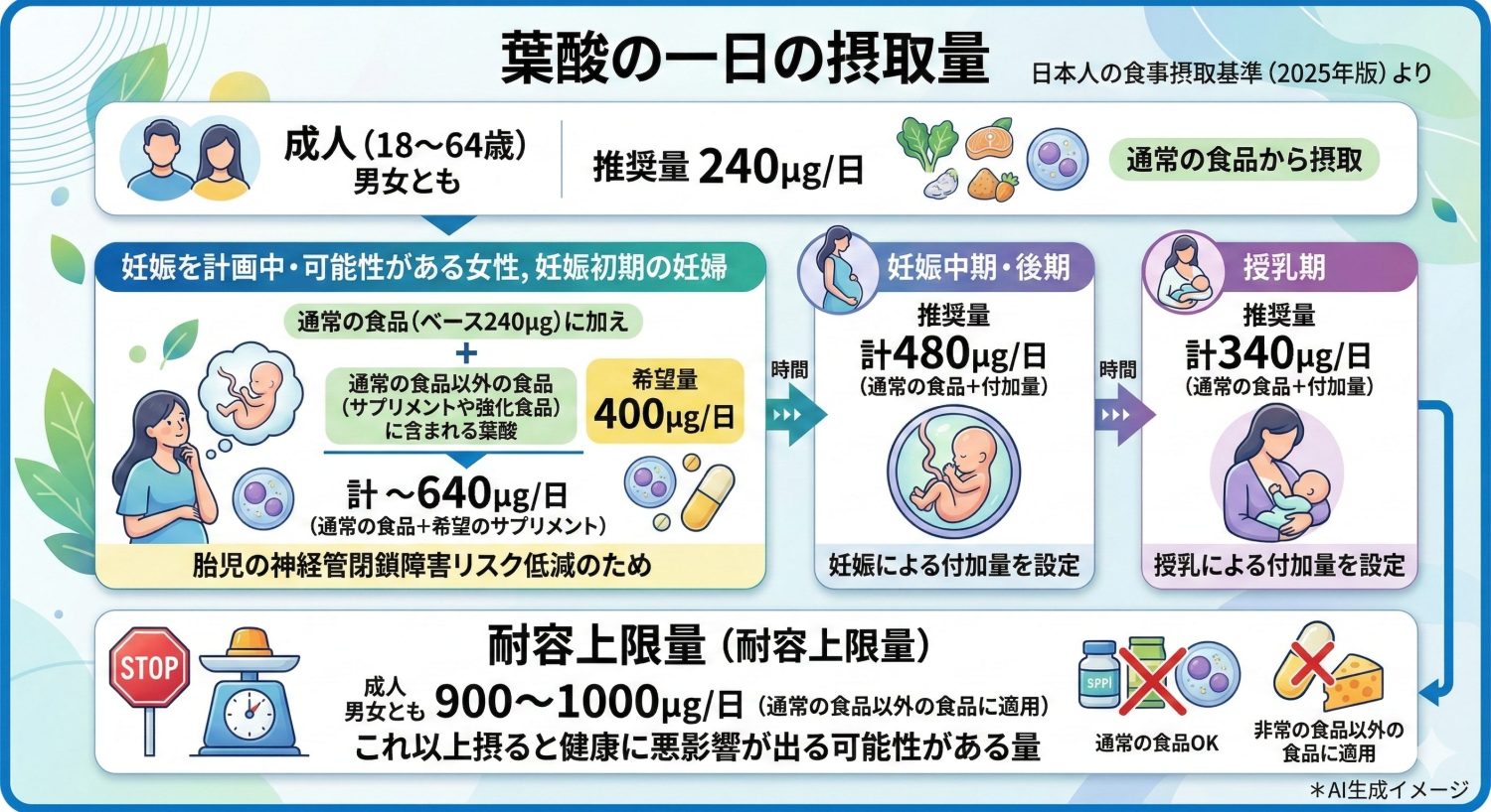 葉酸の一日の摂取量