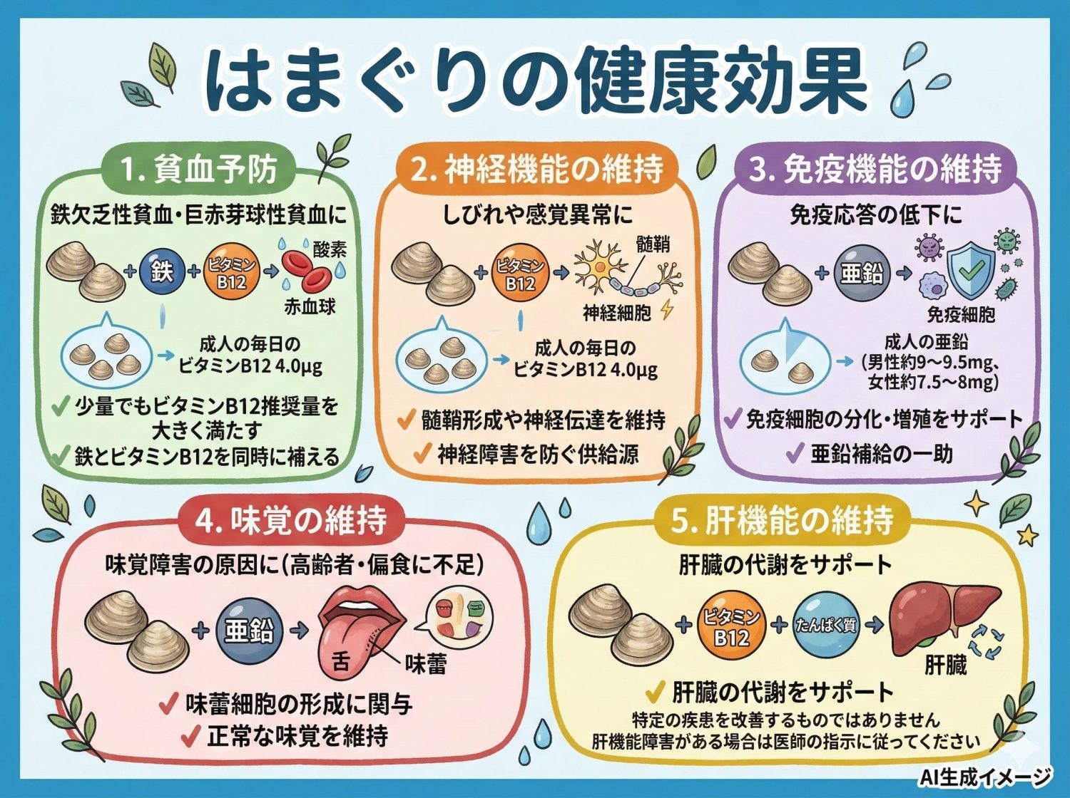 はまぐりの健康効果