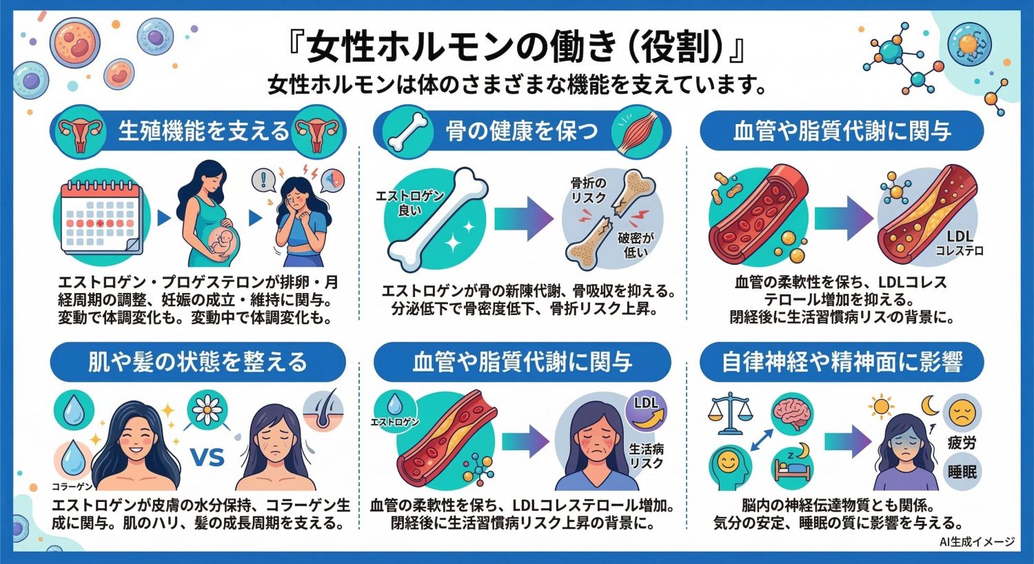 女性ホルモンの働き（役割）
