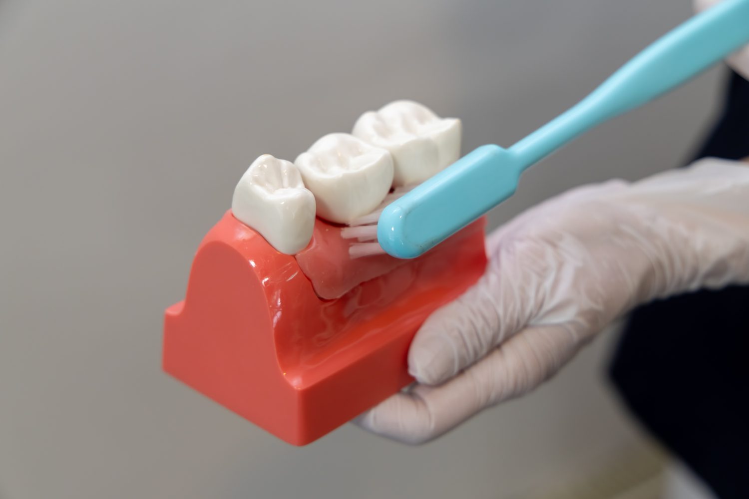 星川歯科医院photo