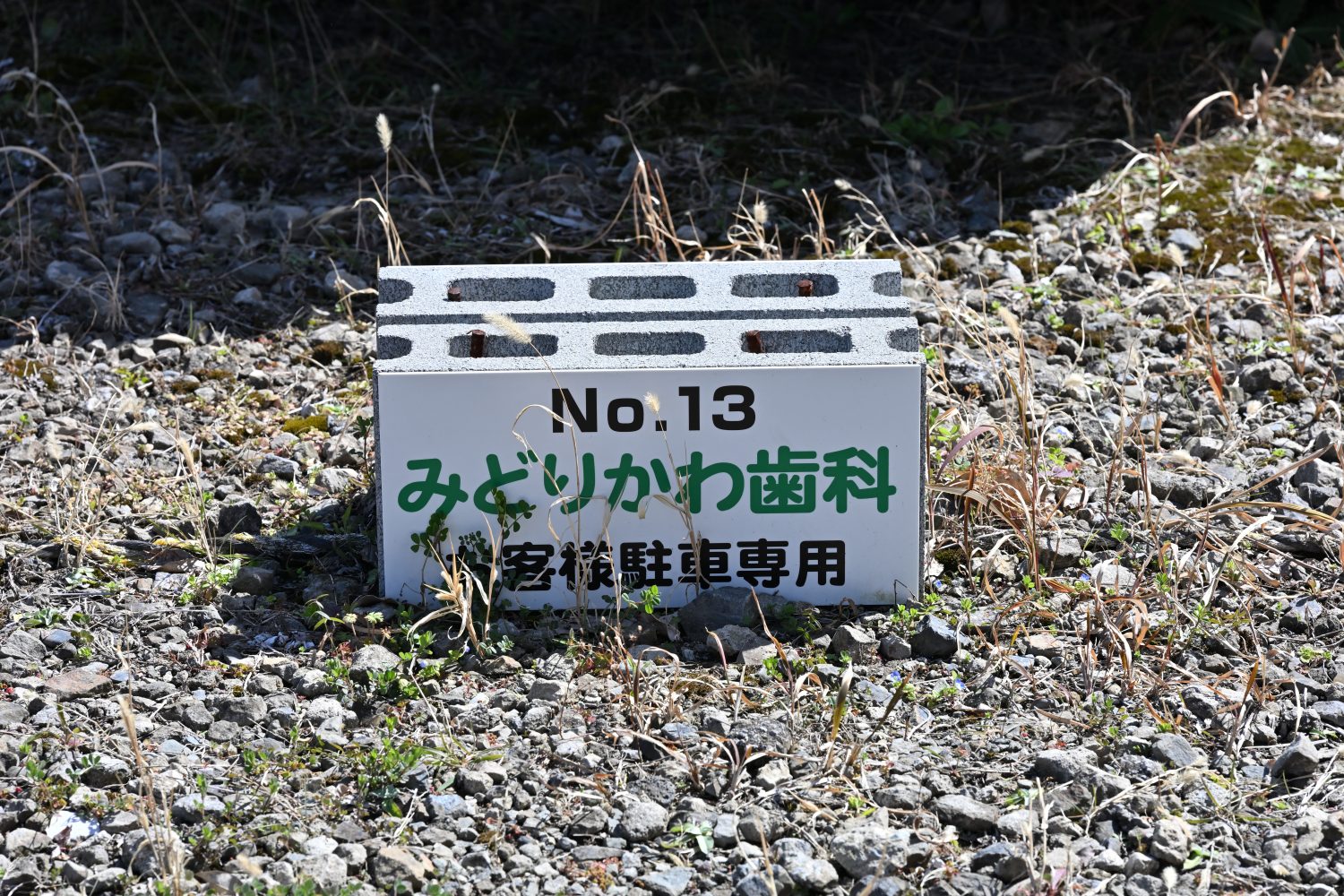 みどりかわ歯科photo