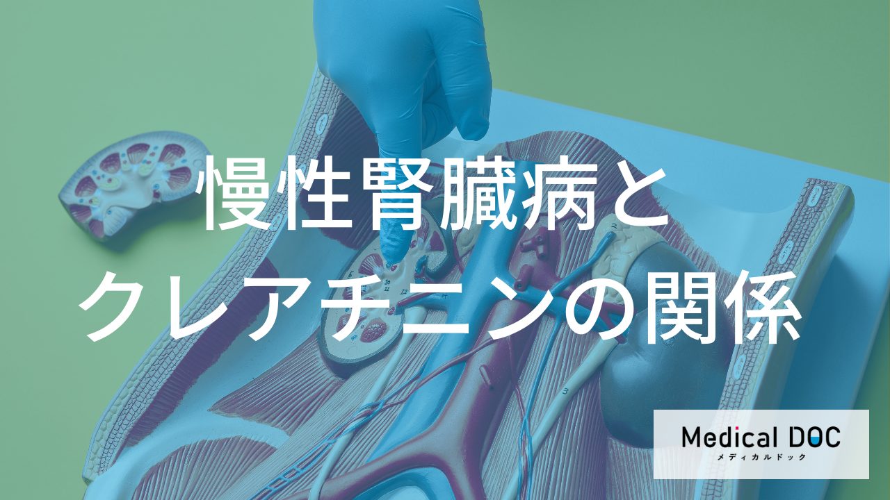 「クレアチニン値」でわかる慢性腎臓病（CKD）のサインと進行度―治療方針決定の情報源にも