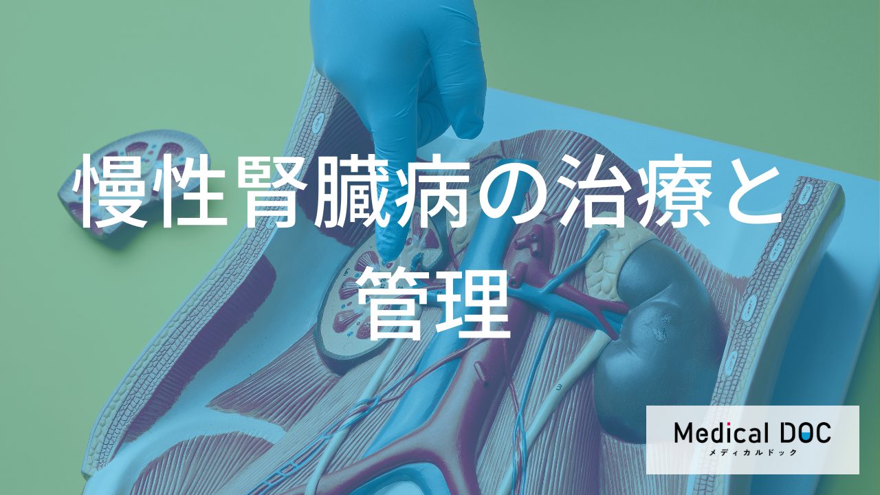 慢性腎臓病はどう治療する？　透析を遅らせるための薬物療法と原因疾患の管理