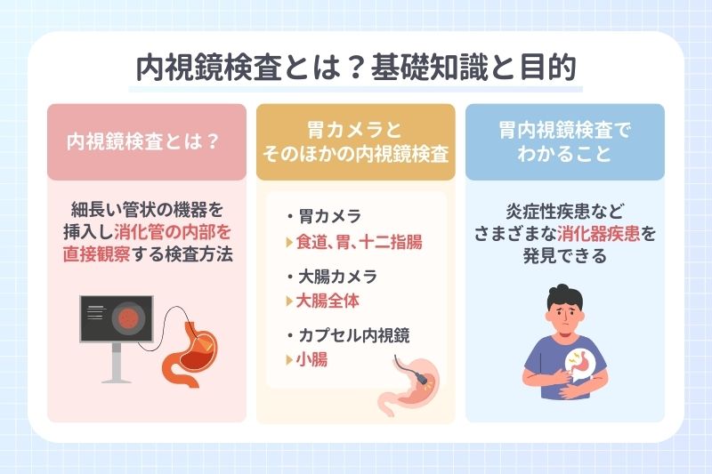 内視鏡検査とは？基礎知識と目的