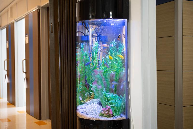 善行団地石川医院photo