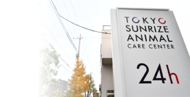 東京サンライズアニマルケアセンターphoto