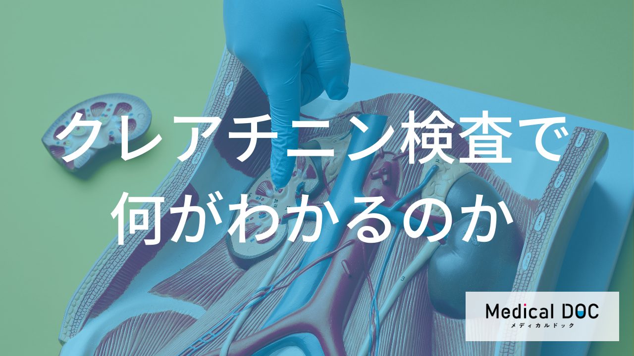 健康診断の「クレアチニン」から知る腎機能や隠れた病気リスクの手がかり