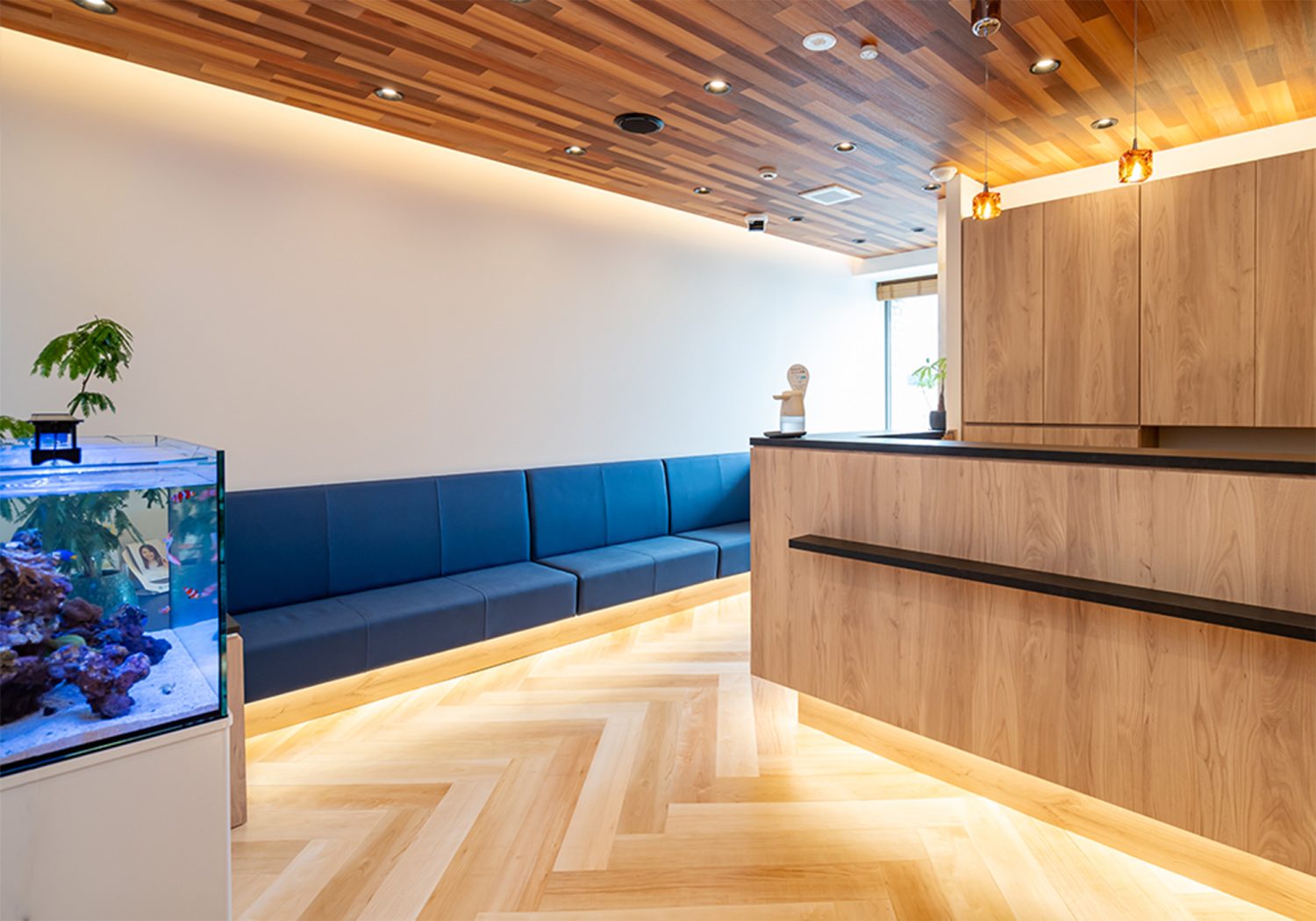 大船根津矯正歯科