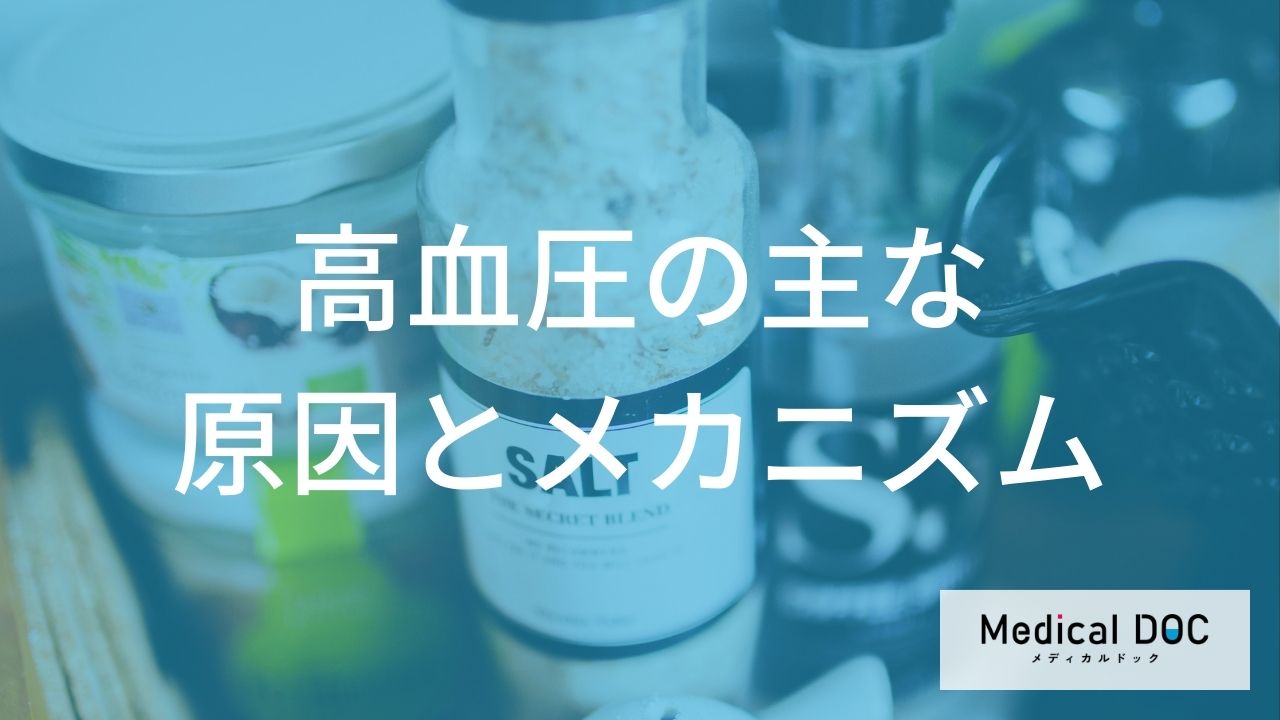 高血圧の主な原因と発症メカニズム