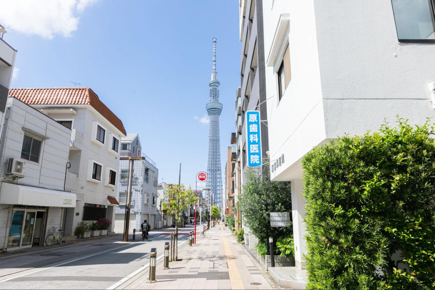 原歯科医院photo