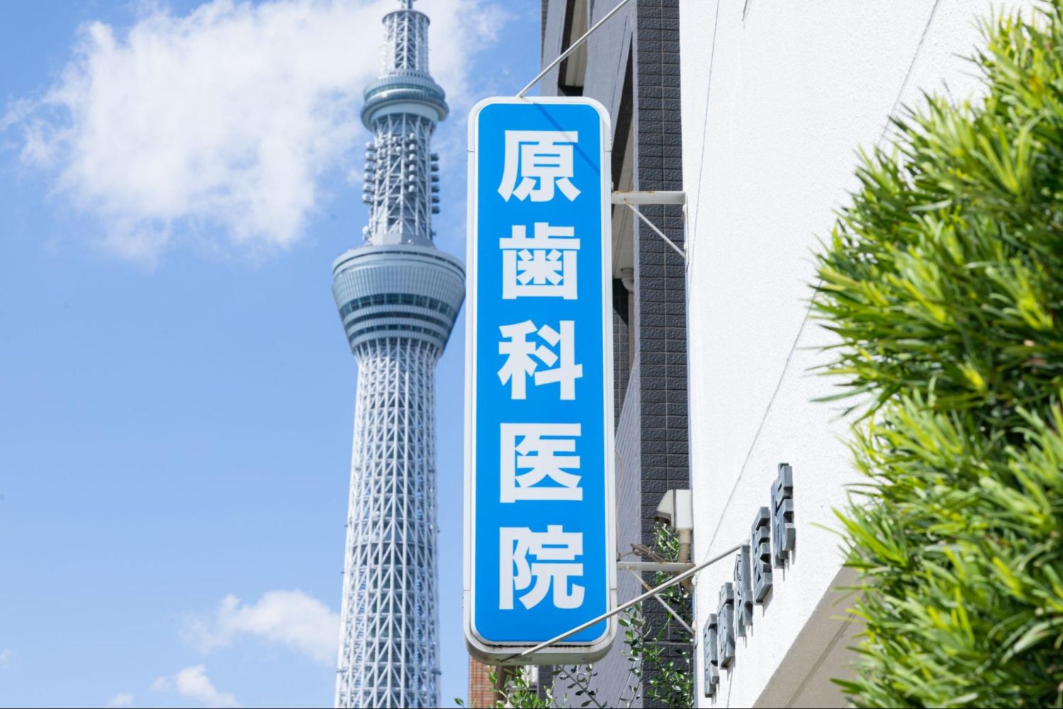 原歯科医院photo