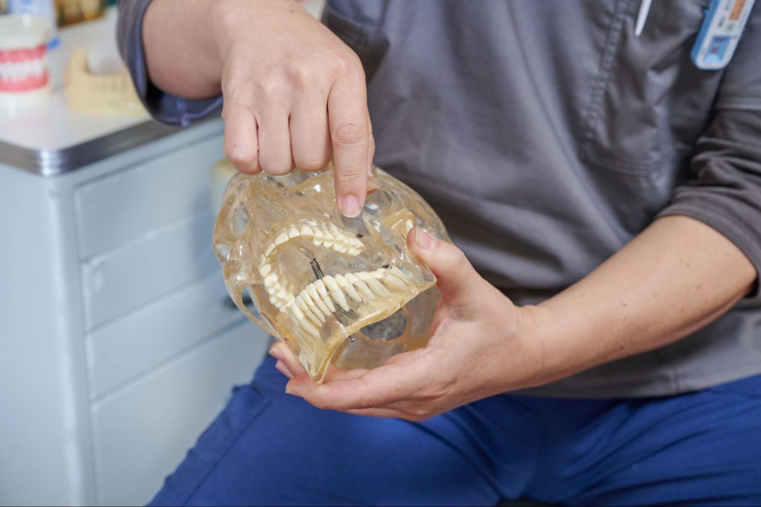 ナチュラル・ライフ・デンティストリーphoto