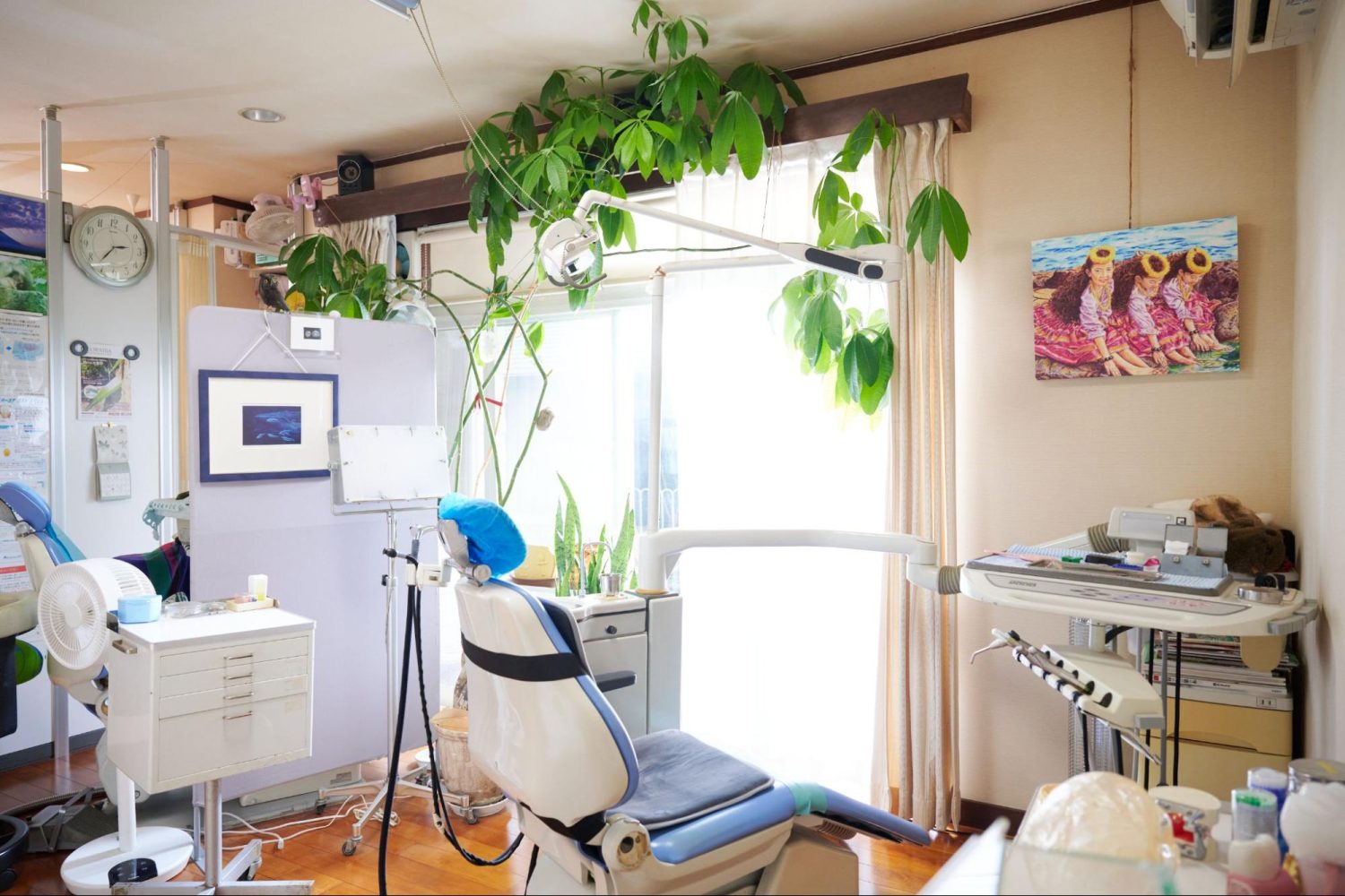 ナチュラル・ライフ・デンティストリーphoto