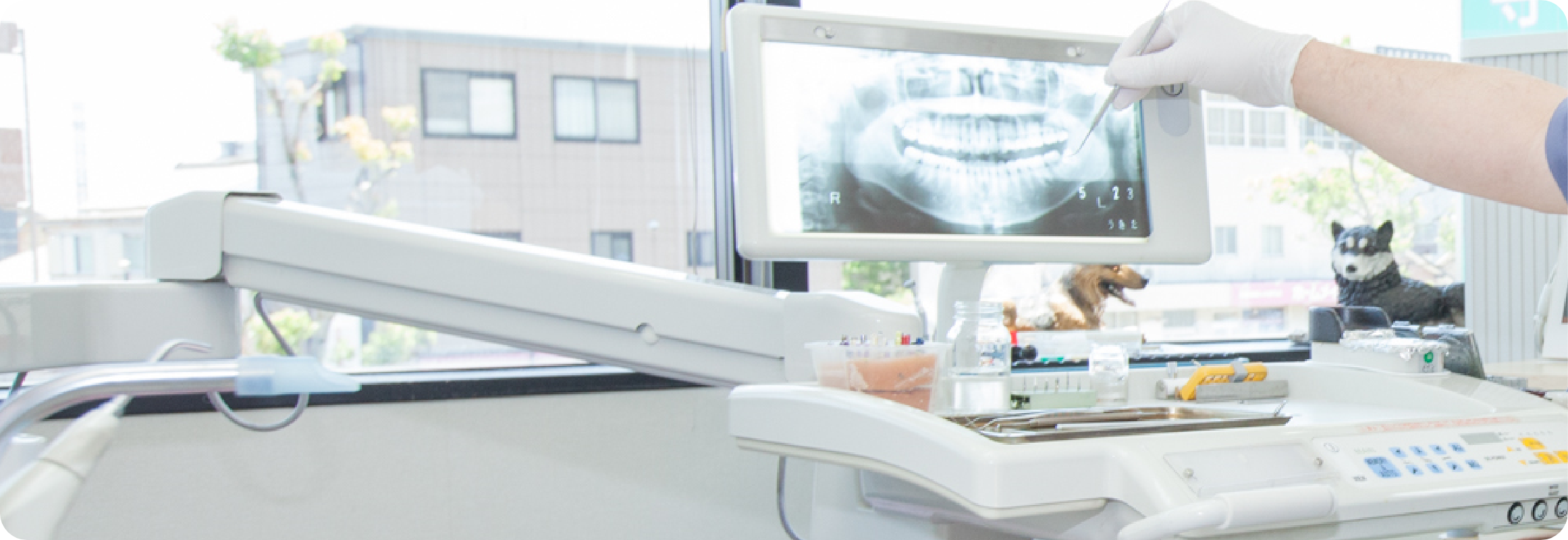 寺辺歯科医院photo