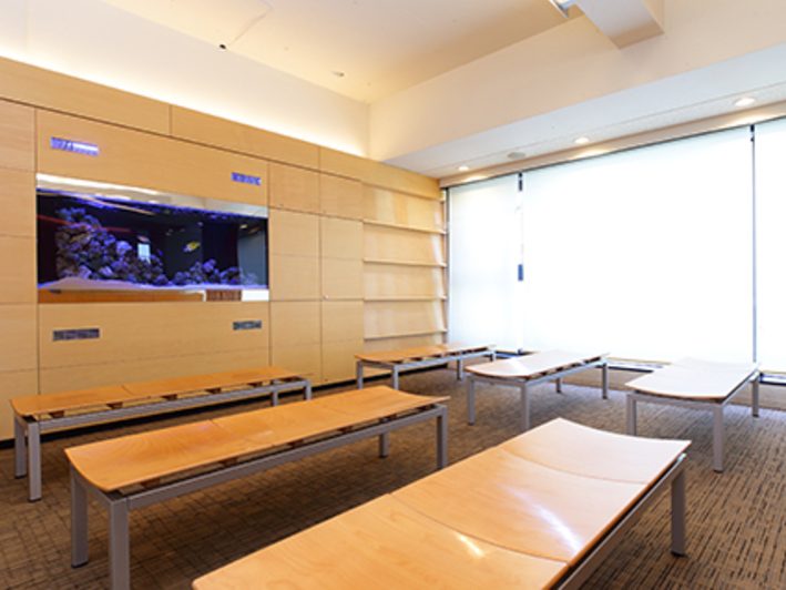 しらゆり皮膚科クリニック　瑞江本院