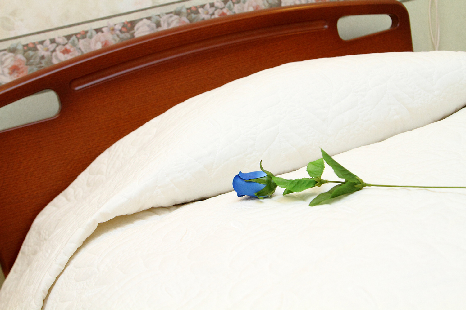 高島平クリニックphoto