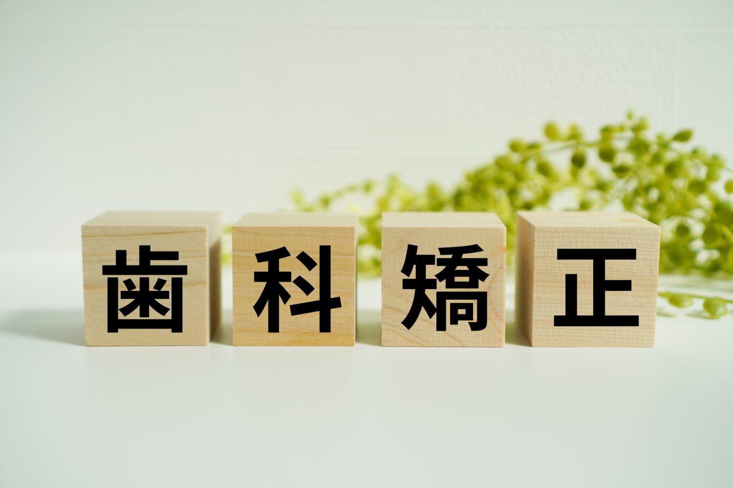 木製ブロックに『歯科矯正』の文字