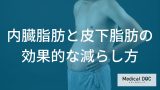 【新事実】内臓脂肪と皮下脂肪は落とし方が違う！最速で結果を出す「2つの脂肪別アプローチ」