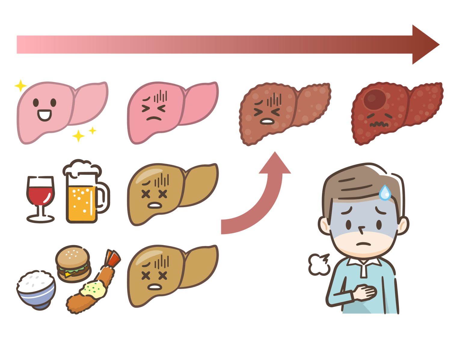 メタボリック肝硬変のメカニズム