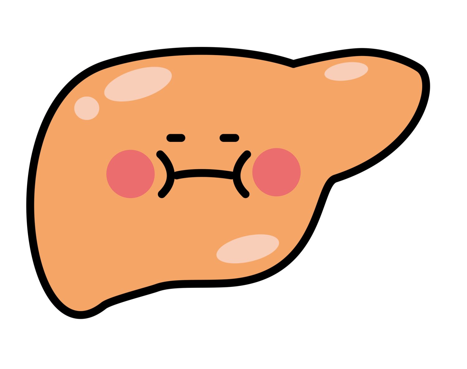 痩せている人でも脂肪肝になる？