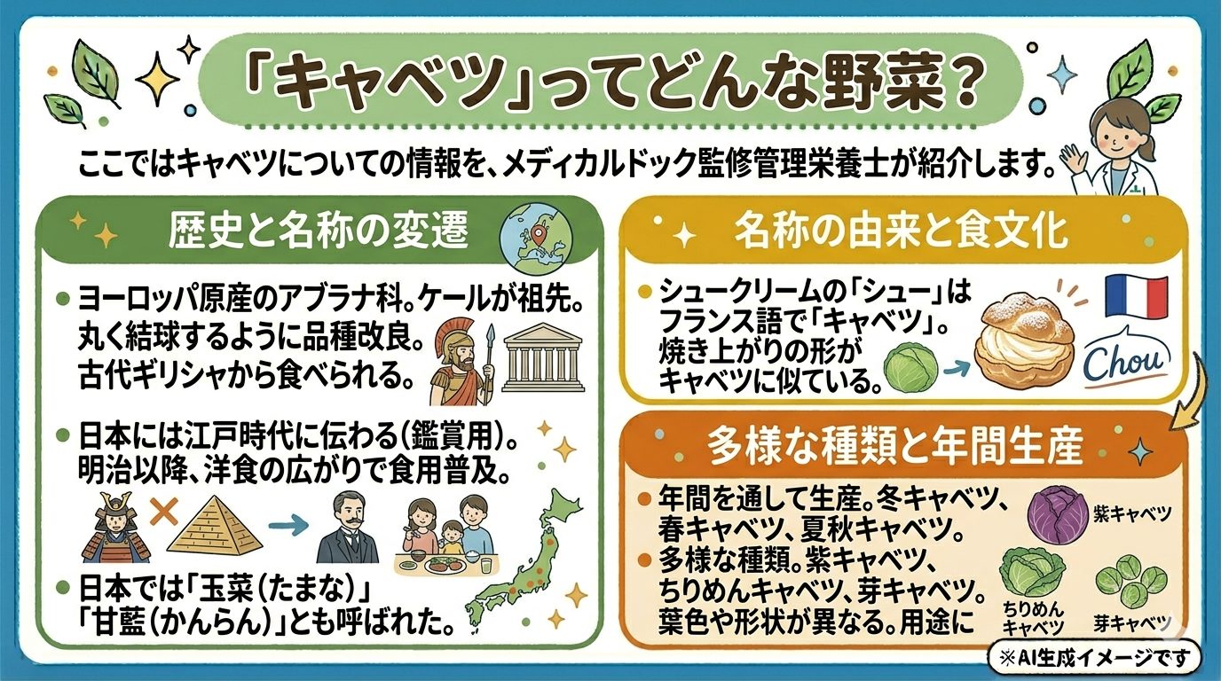 キャベツとは？