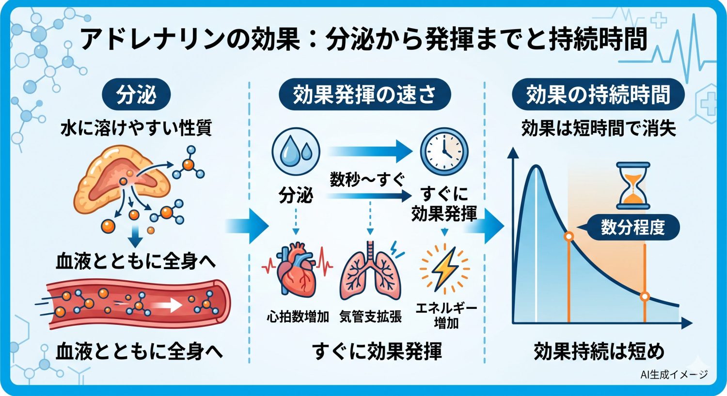 アドレナリンの効果が発揮されるのは分泌されてからどれくらい？