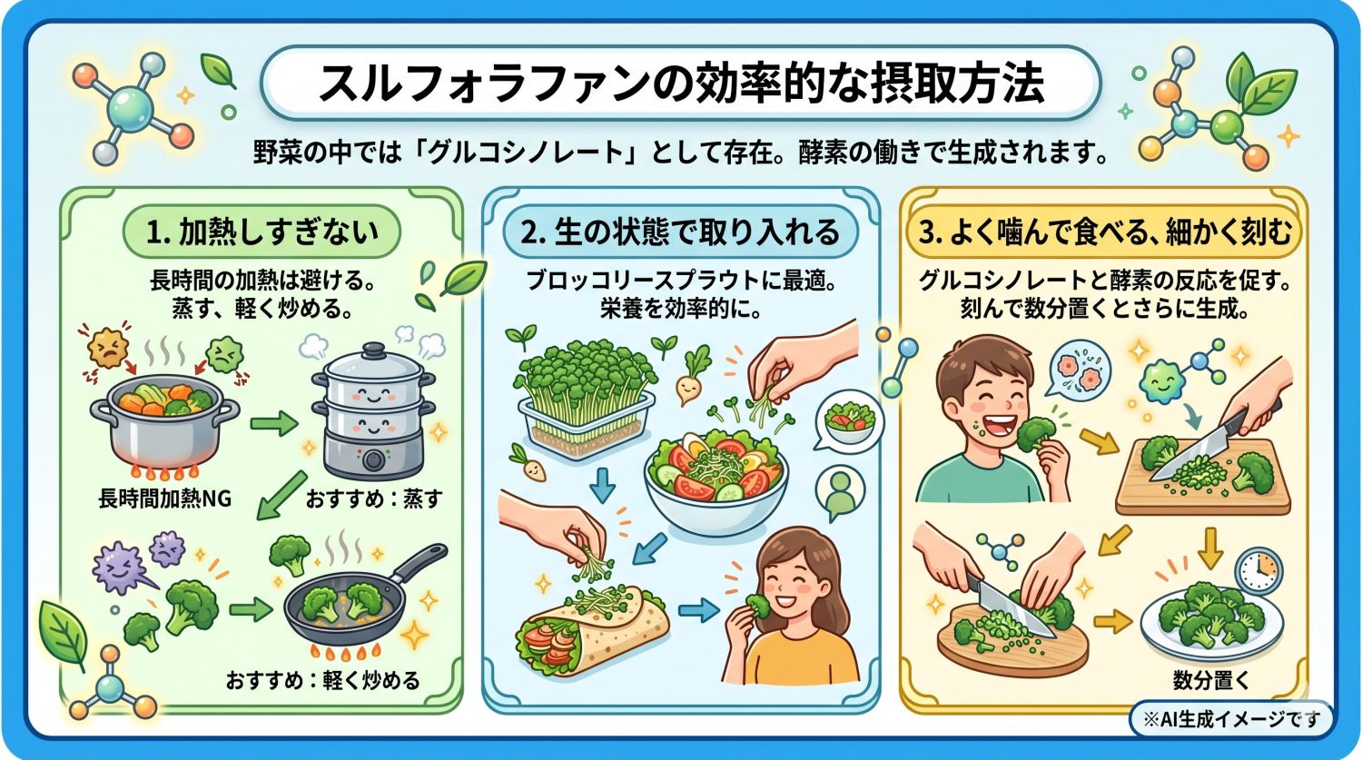 スルフォラファンの効率的な摂取方法