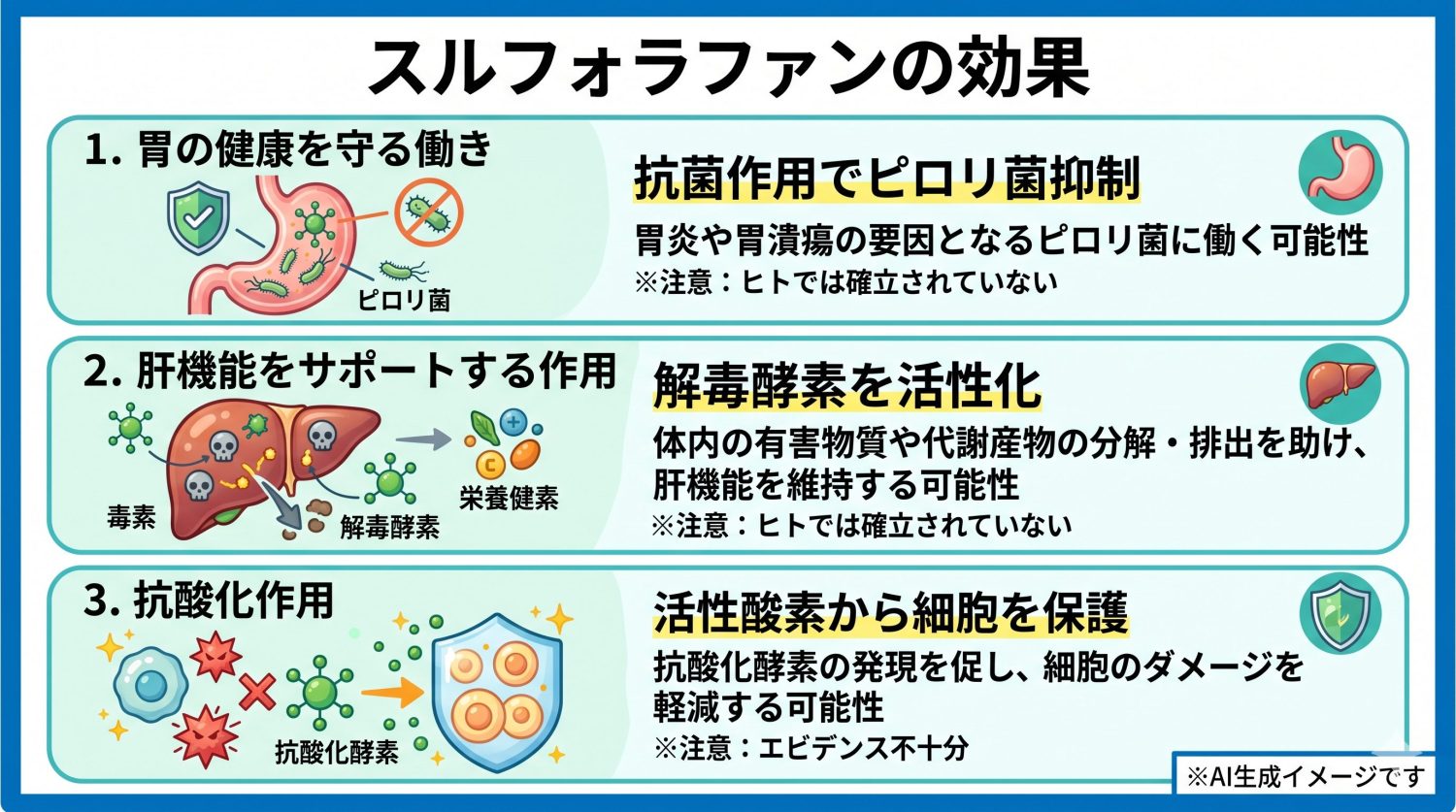 スルフォラファンの効果