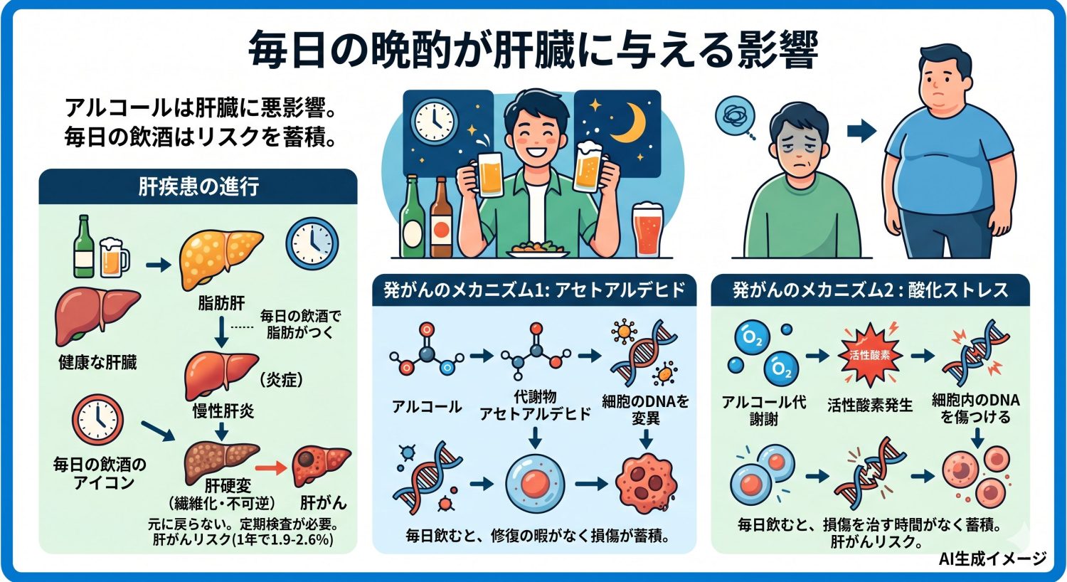 毎日の晩酌が肝臓に与える影響