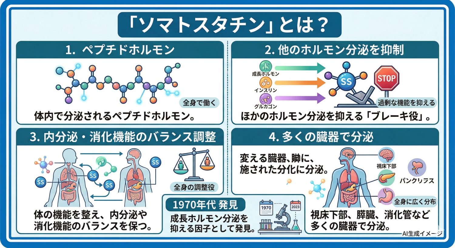 「ソマトスタチン」とは？