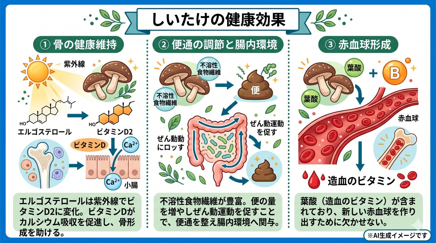 しいたけの健康効果