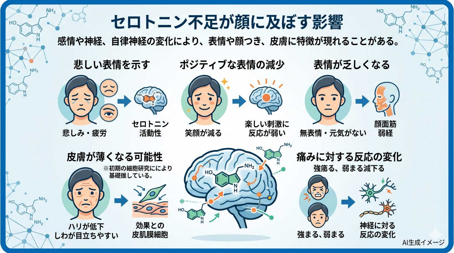 セロトニンが少ないと顔にどのような特徴が現れる？