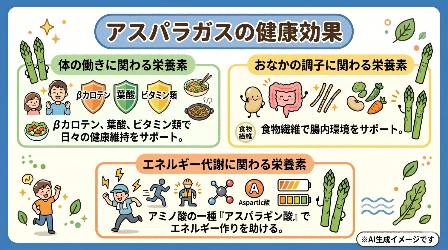 アスパラガスの健康効果