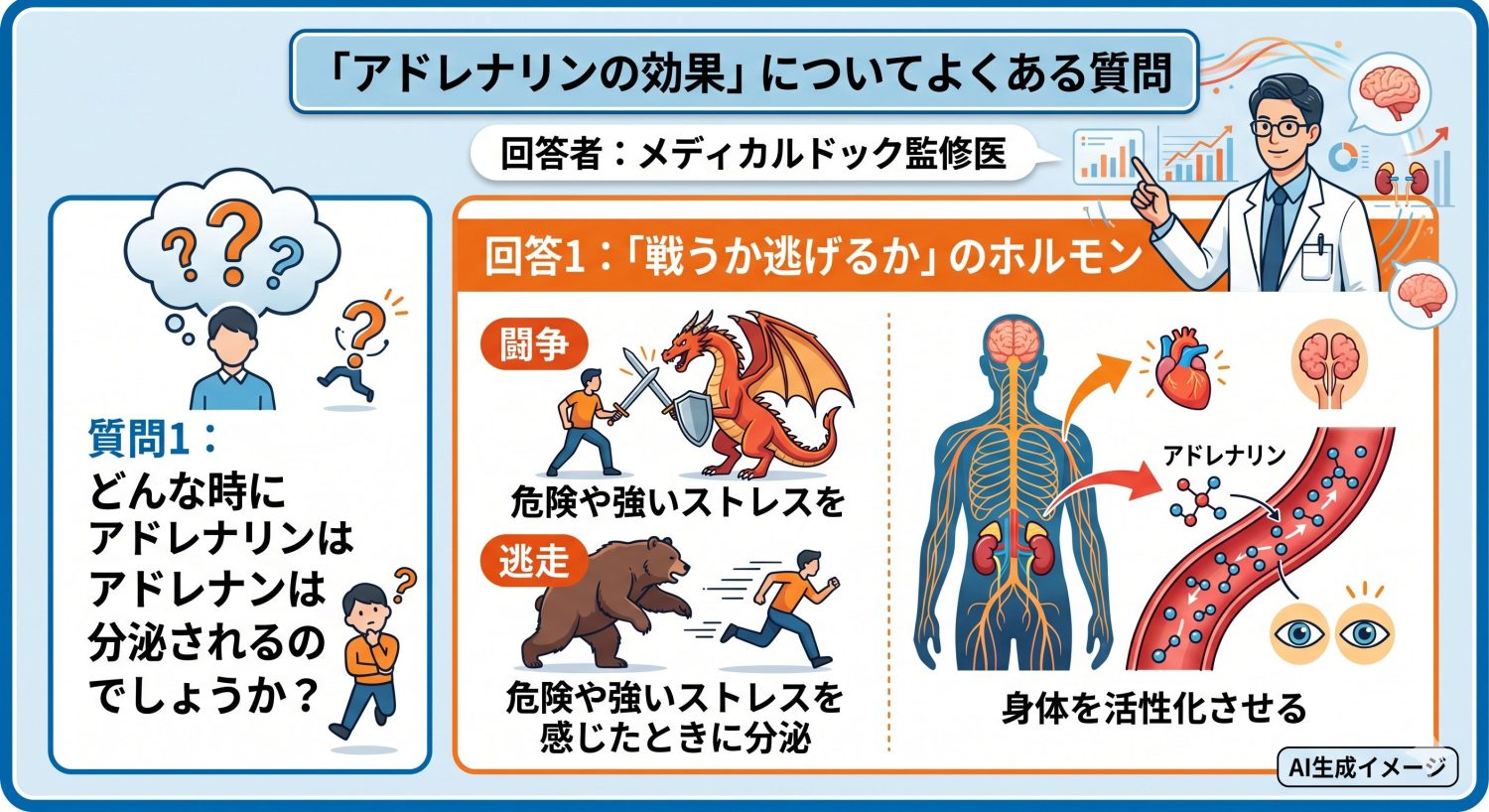 「アドレナリンの効果」についてよくある質問