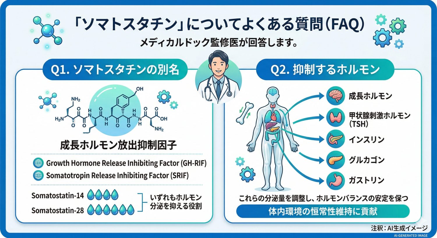 「ソマトスタチン」についてよくある質問