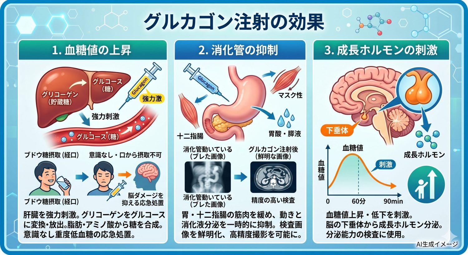 グルカゴン注射の効果