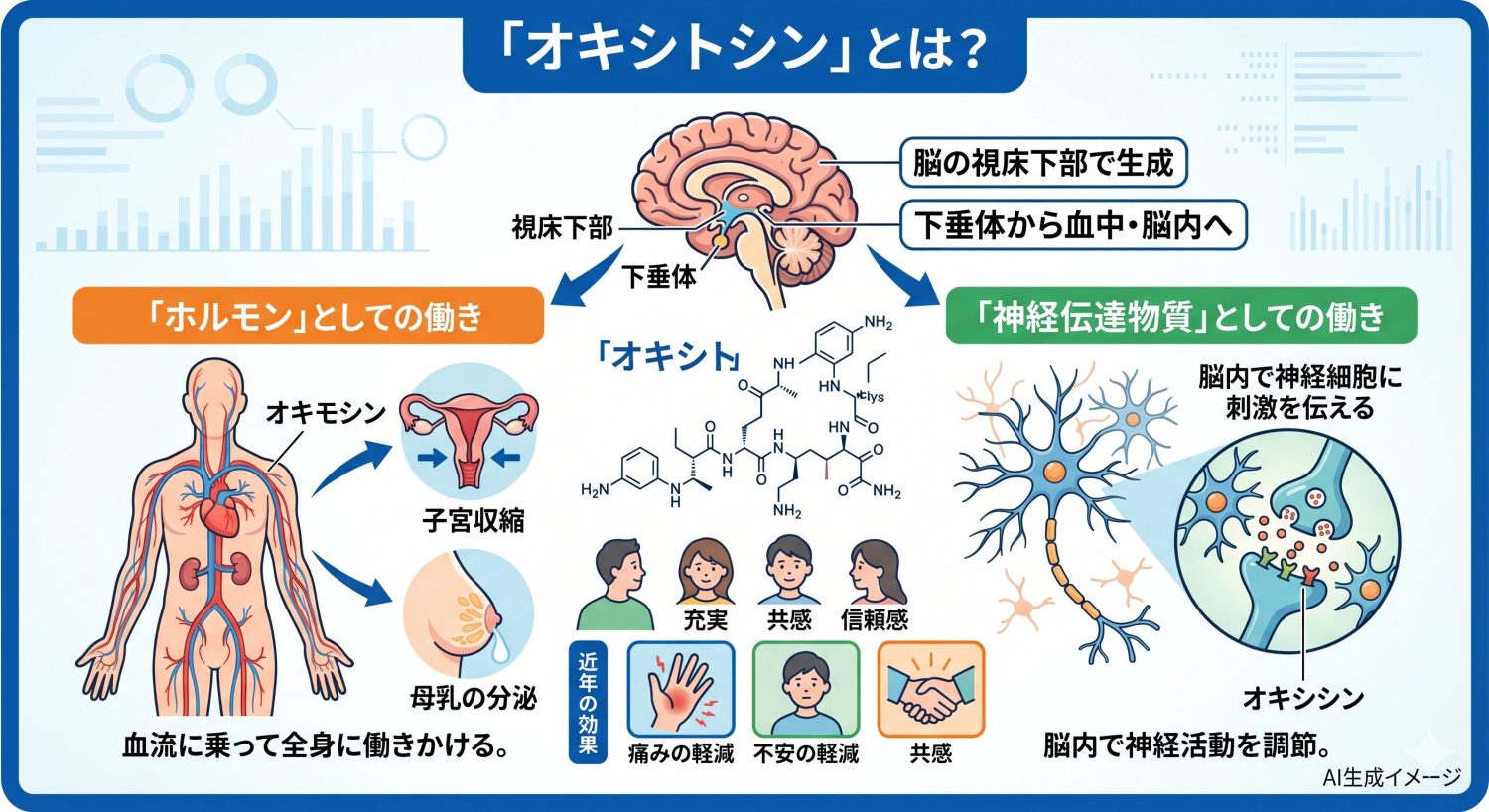「オキシトシン」とは？