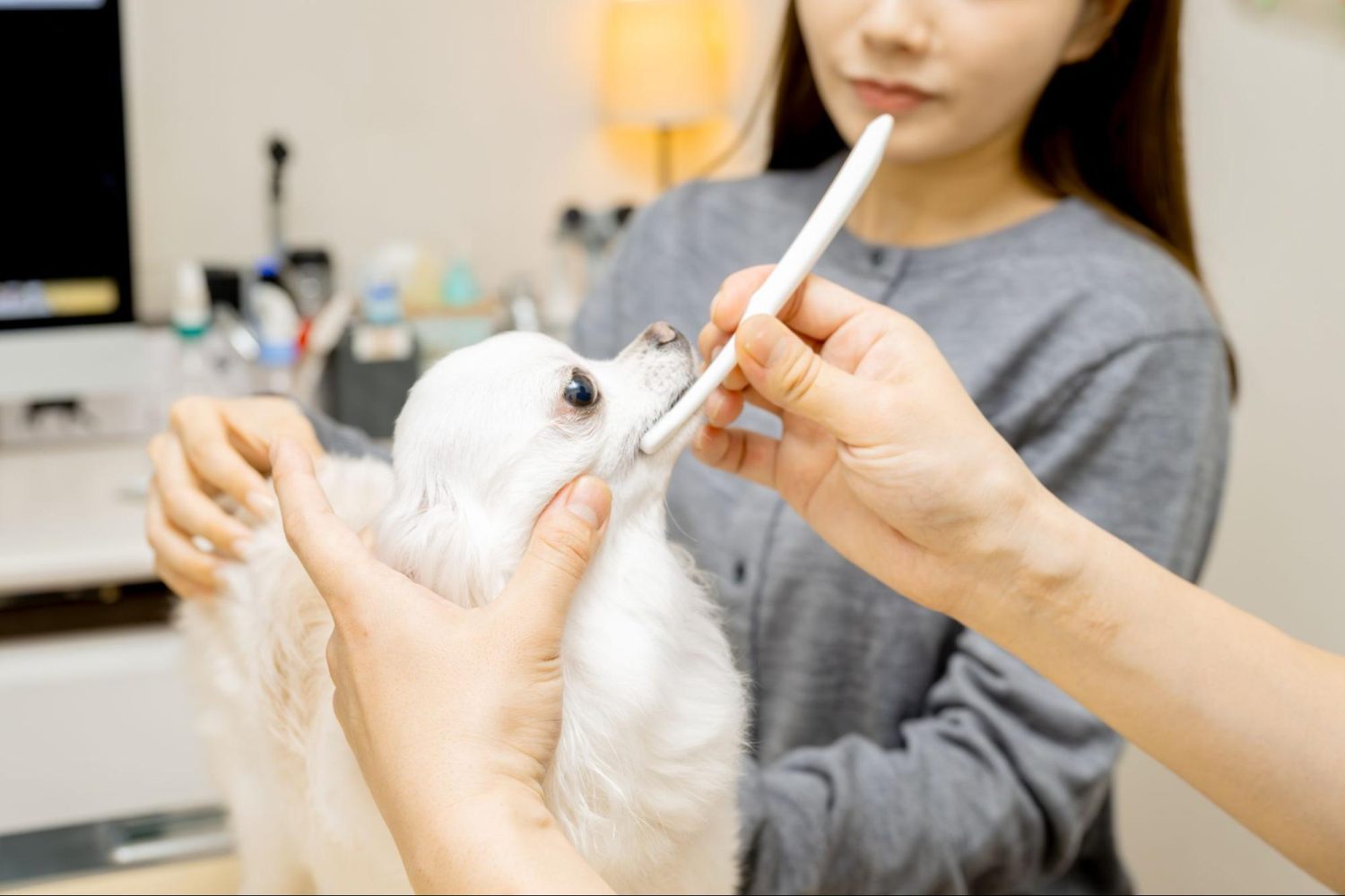 駅前通り動物病院photo