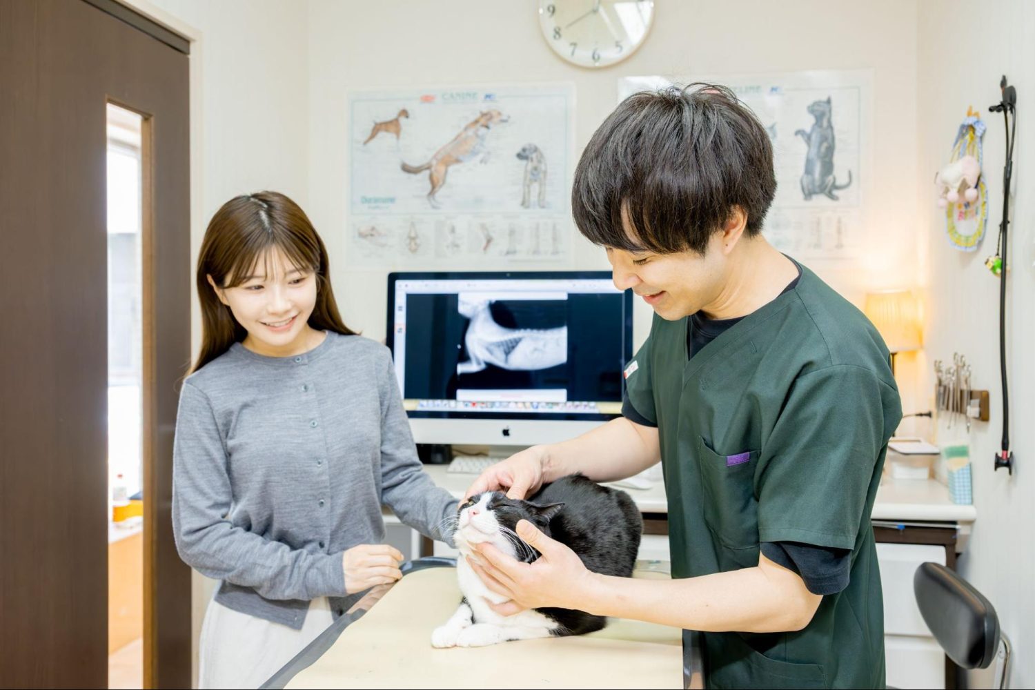 駅前通り動物病院photo