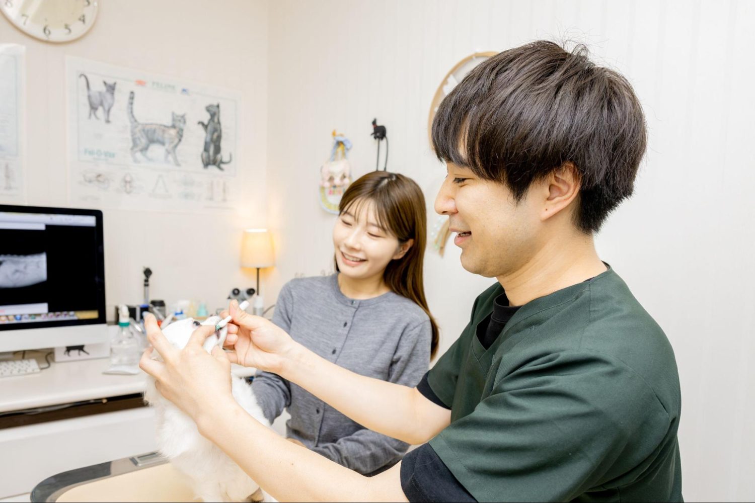 駅前通り動物病院photo